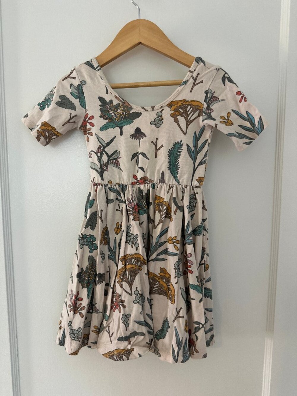 Alice + Ames Botanical Twirl Dress 4T